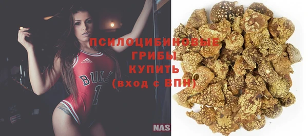 мдма Бородино