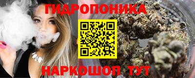 ECSTASY Донской