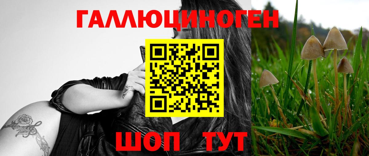Псилоцибиновые грибы Psilocybine cubensis  купить   Медногорск  Вход с VPN 