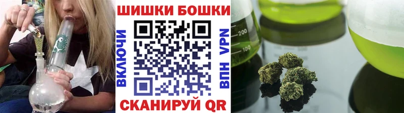 Шишки марихуана семена  наркотики  Медногорск 